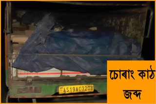 Wooden loded vehicle seized By Police in Kalgachia