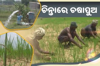 Farming could not be done due to water problem in jajpur