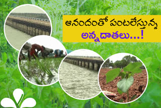 farmers-happy-for-sriram-sagar-project-full-of-water