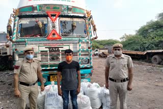 truck driver arrested
