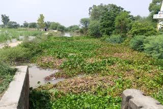 Heavy Rain Canal Broken