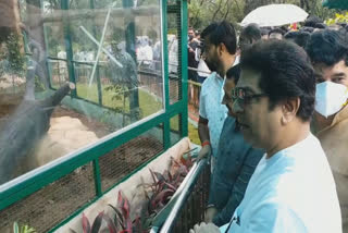 Raj Thackeray visit Rajiv Gandhi Zoo