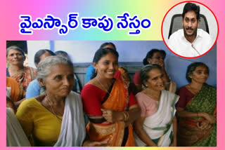 ysr Kapu Nestam scheme