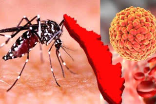 health worker tested positive zika  zika in Kottayam  zika positive in kottayam  സിക വൈറസ് ബാധ  കോട്ടയത്ത് ഒരാള്‍ക്ക് സിക  സിക വൈറസ് ബാധ സ്ഥിരീകരിച്ചു