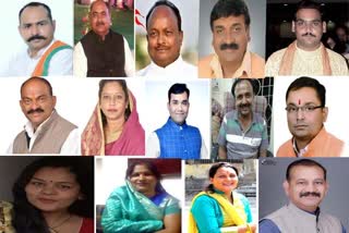 bjp metropolis team