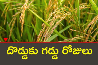 RICE: తెలంగాణ దొడ్డురకం బియ్యానికి తగ్గుతున్న డిమాండ్​