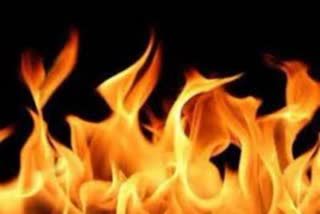 Fire broke out in Okhla Industrial Area area