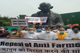 rahul gandhi staged a protest along with party mps in front of gandhi statue