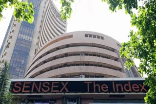 sensex