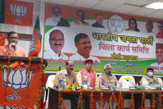 BJP working committee meeting