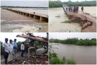 heavy rains at krishna district