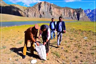 SDM Kaza appeals to tourists to maintain cleanliness in Spiti