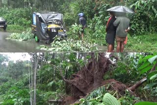 heavy rain in idukki  idukki heavy rain  idukki Extensive damage reported  ഇടുക്കിയിൽ ശക്തമായ മഴ  ഇടുക്കിയിൽ വ്യാപക നാശനഷ്‌ടം  ഇടുക്കി മഴ വാർത്ത