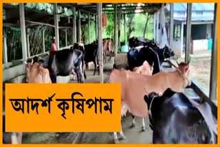 bongaigaon-farmer-shows-signs-of-self-sufficiency