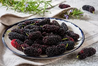 Mulberries  Berries  Benefits of Mulberries  Bad Cholesterol  ETV Bharat Sukhibhava  Boosting Benefits from Mulberries  mulberry  പൊണ്ണത്തടി നിങ്ങളുടെ ഉറക്കം കെടുത്തുന്നുണ്ടോ..എങ്കിൽ ഇവനെ കഴിച്ചോളു..!  മൾബറി  ശരീരഭാരം കുറയ്ക്കുന്നു  ആന്‍റിഓക്സിഡന്‍റുകളുടെ കലവറ