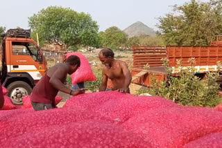 400 விதை வெங்காய மூட்டைகள் தேக்கம்