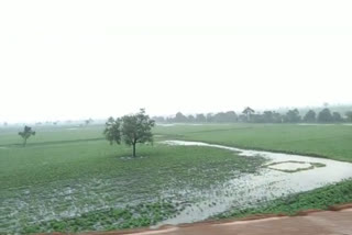heavy rain in hubballi-darawada