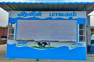 திமுக நிர்வாகி  மாமூல் கேட்டு அராஜகத்தில் ஈடுபடும் திமுக நிர்வாகி  சென்னை செய்திகள்  tamilnadu chief minister  chennai news  chennai latest news  பால் முகவர்கள் தொழிலாளர்கள் நலச் சங்கம்  aavin milk management