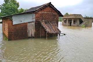 Flood in gangavali