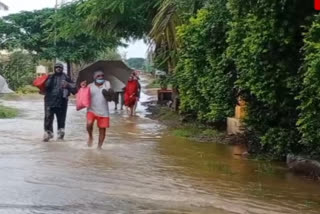 Heavy rain in Valva taluka of Sangli