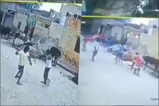 Panipat Family Beating Video