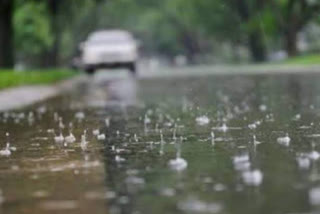 Maharashtra Rain Alert: पुढचे चार दिवस राज्यात मुसळधार, हवामान विभागाचा अंदाज