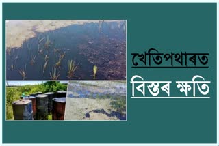 cultavating-land-spoil-ongc-crude-oil-leakage-in-sivasagar