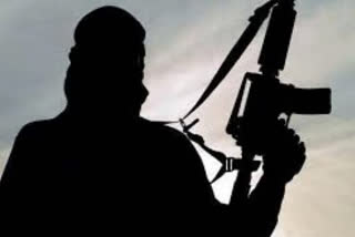 TWO TERRORIST ELIMINATED IN SOPORE, NORTH KASHMIR