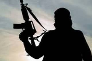 Man killed in terrorist firing in J-K's Pulwama