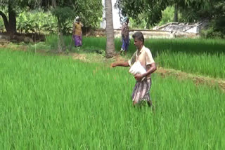 Farmers demand to fertilizers inputs in stock  erode news  erode latest news  erode Farmers demand to fertilizers inputs in stock  ஈரோடு செய்திகள்  ஈரோட்டில் இடுபொருட்கள் இருப்பு வைக்க விவசாயிகள் கோரிக்கை  விவசாயிகள் கோரிக்கை  Farmers demand  பவானிசாகர் அணை நீர் வரத்து