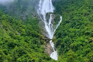 ମହାରାଷ୍ଟ୍ରରେ ଲଗାଣ ବର୍ଷା, ଦ୍ବିଗୁଣିତ Dudhsagar WaterFallର ସୌନ୍ଦର୍ଯ୍ୟ