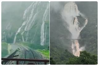 Dudhsagar Falls in Goa which attracts tourists