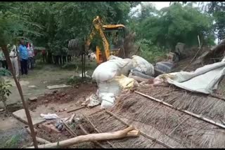 hut of a tribal family removed during encroachment