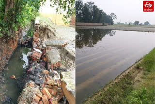 crops damage due to breaking drain in rain in delhi