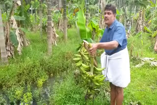 Farmer Nasar from edavannappara distribute vegetables kit  അൽ ജമാൽ നാസർ  ബസ്-ഓട്ടോ തൊഴിലാളികൾക്ക് പച്ചക്കറിക്കിറ്റ്  പച്ചക്കറിക്കിറ്റുമായി കർഷകൻ  distribute vegetables kit in edavannappara