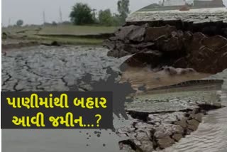 હરિયાણામાં વરસાદ પછી જમીન કઇ રીતે ઉપર આવી ?