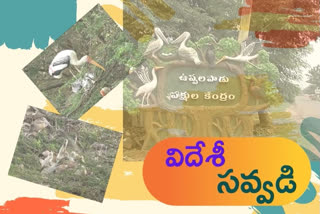 uppalapadu bird sanctuarie