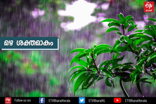 kerala rain alert  മഴയ്‌ക്ക് സാധ്യത  കാലാവസ്ഥ റിപ്പോട്ട്  kerala weather report