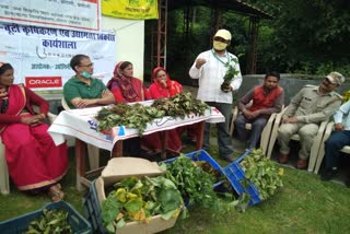 Organizing medicinal plants Workshop