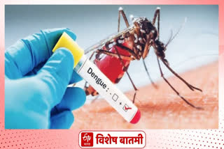 dengue patients increasing in Amravati