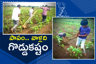 farmers problems at marpally mandal in telangana
