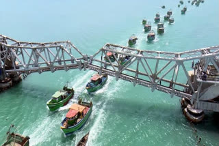 Pamban accident  Barge rams Pamban bridge  Rameswaram news  accidents in Pamban  പാമ്പൻ പാലം  ബാർജ് പാമ്പൻ പാലത്തിന്‍റെ തൂണിലിടിച്ചു  പാമ്പൻ പാലം അപകടം  പാമ്പൻ പാലം വാർത്ത  രാമേശ്വരം വാർത്ത