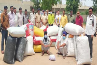 Bhiwani Police recovered 505 kg drugs