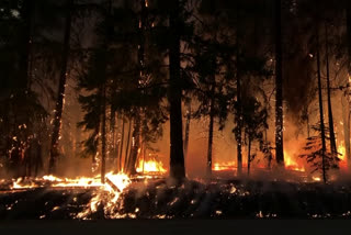 California's largest fire torches more homes