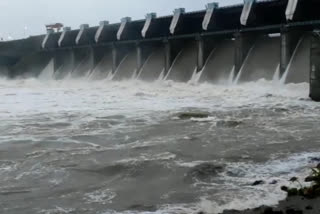 Dams opened in Rajgarh district