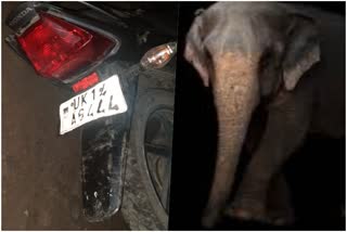 elephant attack on a young man