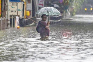 Maharashtra rains