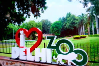 delhi zoo to reopen from August 1st for tourist