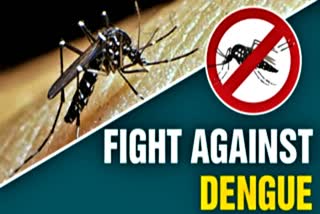 dengue fever