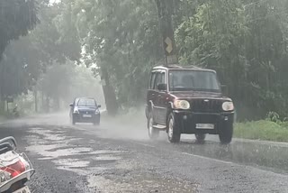 ગુજરાતમાં 24 ક્લાકમાં સાર્વત્રિક વરસ્યો વરસાદ